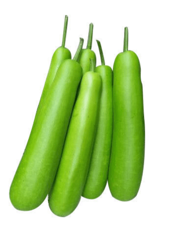 https://subhmart.in/smaccess/upload/images/9754-2020-12-29.png